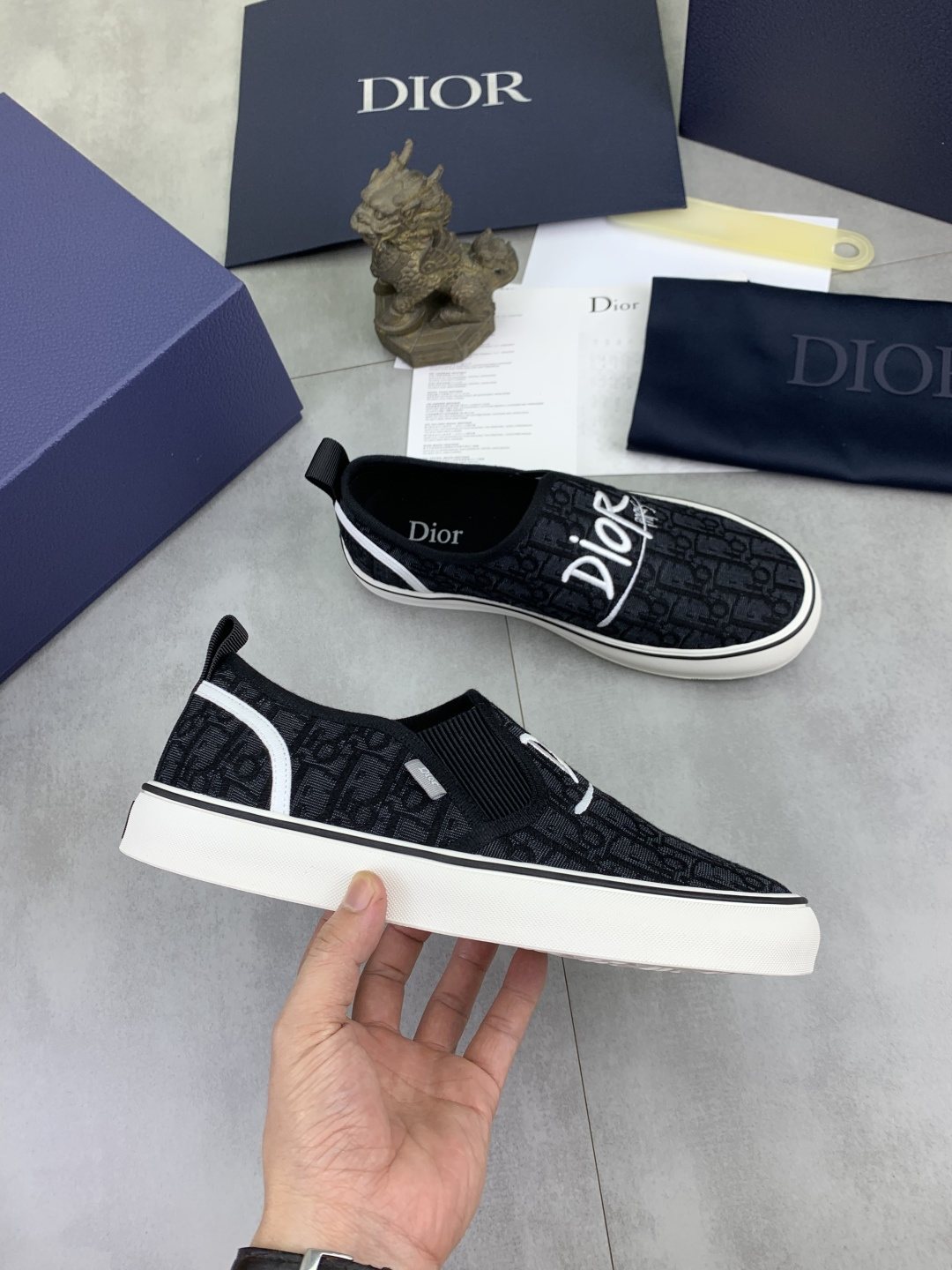 微商相册测试鞋子-Dior Logo-Pattern Canvas Slip-On Sneakers — model